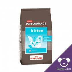 ROYAL CANIN PERFORMANCE CAT...