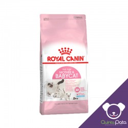 ROYAL CANIN BABY CAT X 1,5 KG