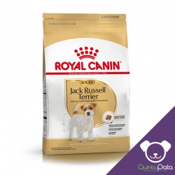 ROYAL CANIN JACK RUSSELL...